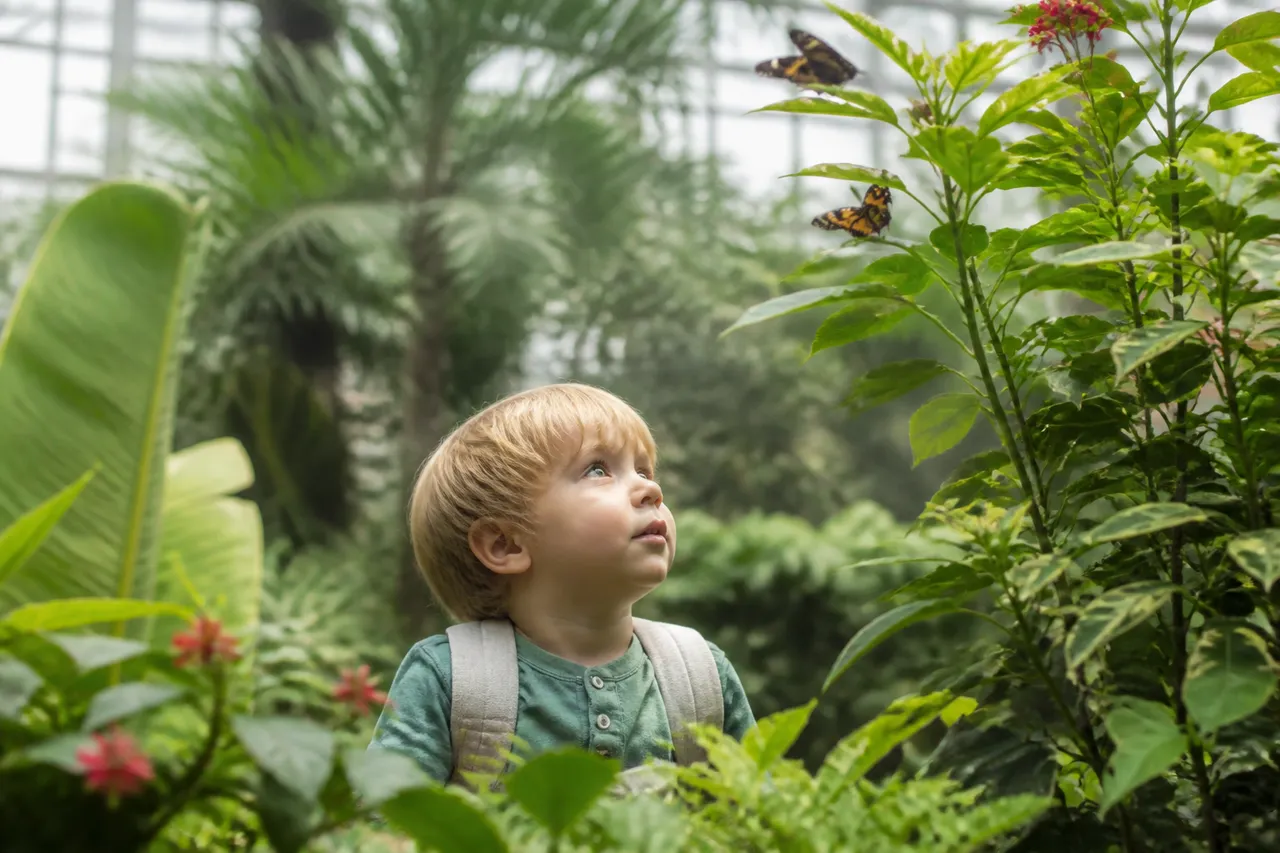 Visite d'une serre aux papillons en Normandie avec enfants